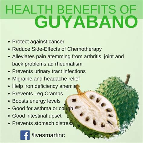 guyabano wine benefits and side effects|Guyabano (Soursop): Mga Nakakabilib na Health Benefits. Alamin!.